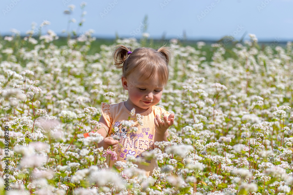 little girl surrounded by white wildflowers exploring nature little girl surrounded by white wildflowers exploring nature