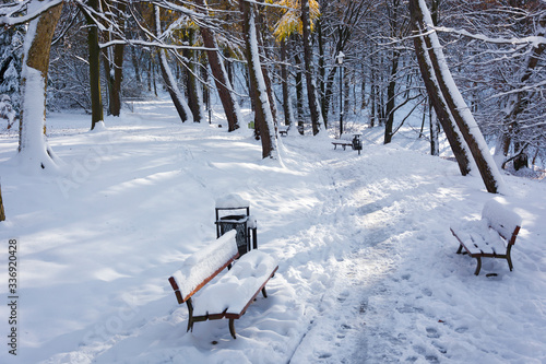Wallpaper Mural W parku zimą Torontodigital.ca