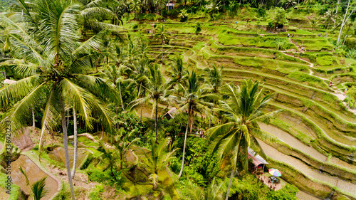 Aerial view of Rice Terrace.
