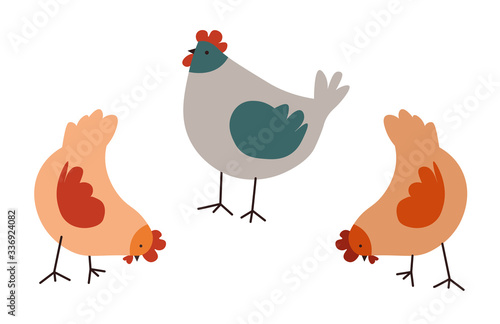 Photo Farm chickens eating food, hen and rooster vector