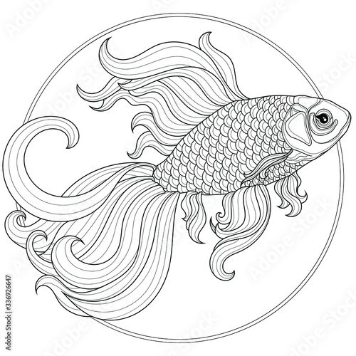 Gold fish.Coloring book antistress for children and adults. Illustration isolated on white background.Zen-tangle style. Black and white drawing. T-shirt emblem, logo or tattoo with doodle.