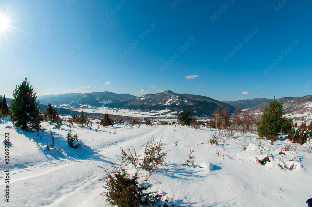 clearing in the winter mountains on a sunny day for outdoor activities and walks