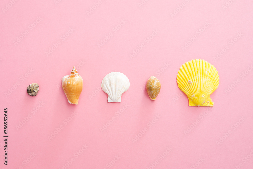 Seashells symbol of summer holiday on the beach on a pink background. Top view and copy space.