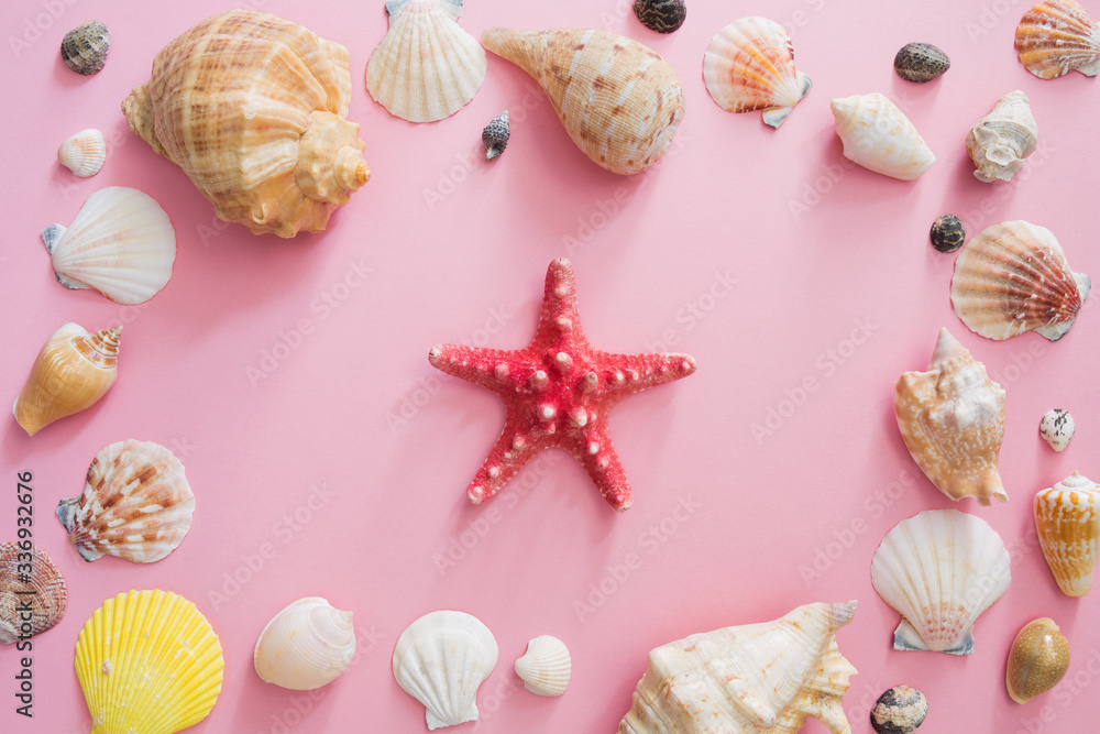 Seashells and star symbol of summer holiday on the beach on a pink background. Flat lay and top view. Seashells and star symbol of summer holiday on the beach on a pink background. Flat lay and top view.