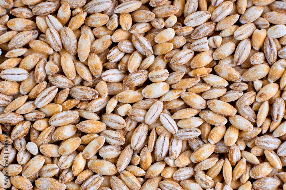 Pearl Barley background, healthy food used in soups and stews Pearl Barley background, healthy food used in soups and stews