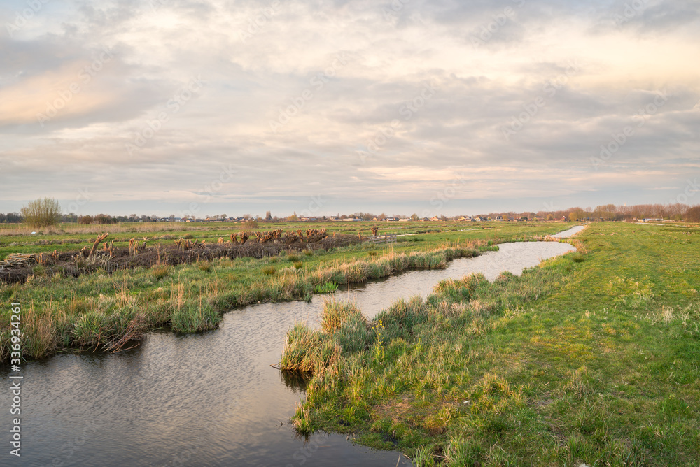 Flat, wide open Dutch polder landscape with green meadows intersected with ditches filled with water