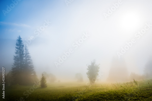 Beautiful mesmerizing landscape covered in thick fog