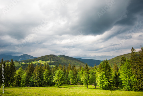 Bewitching beautiful summer landscape of green meadows