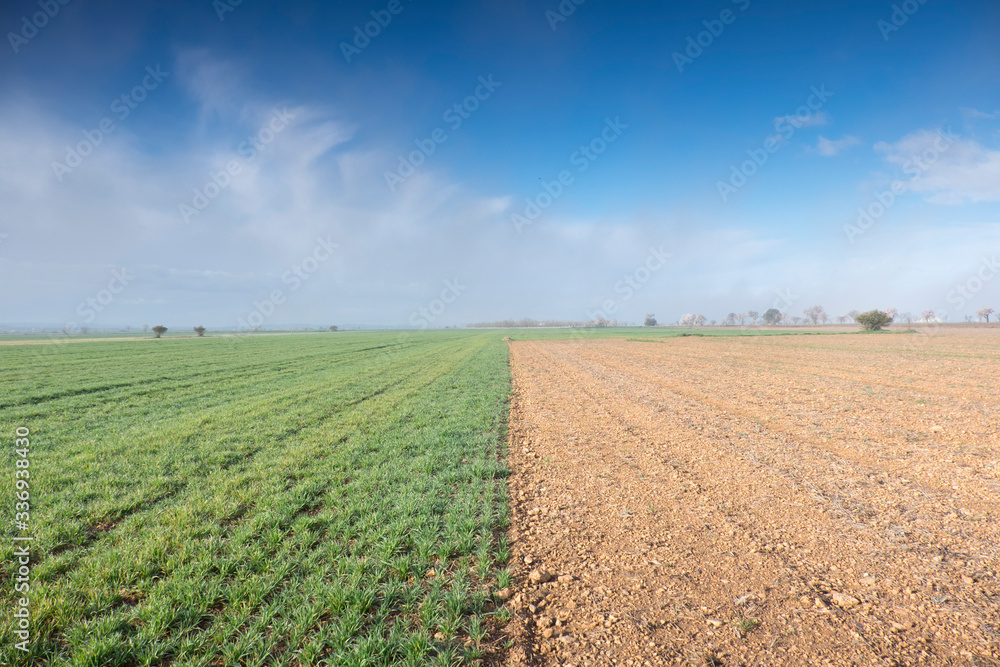 Planicie de los campos de cultivo de lleida y el horizonte al fondo. Planicie de los campos de cultivo de lleida y el horizonte al fondo.