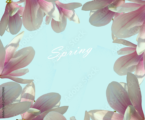 Pink magnolia flowers on a light delicate blue background in the form of a frame. Screensaver, background, flowers on the contour   with the words 