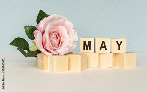 May. Image of may 1 white block calendar on white background with flowers. Spring day, empty space for text. International Workers' Day photo