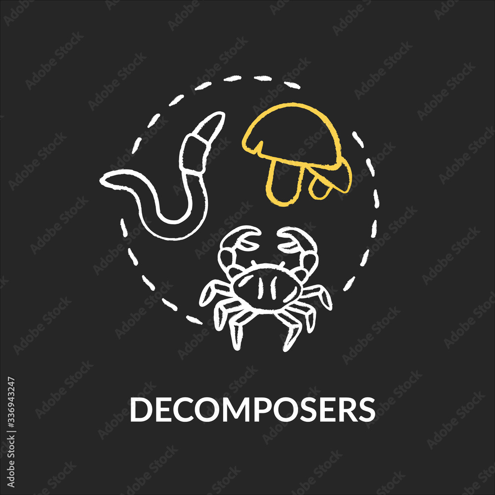 Decomposers chalk RGB color concept icon. Food chain final link, reducers. Biological process in nature idea. Vector isolated chalkboard illustration on black background Decomposers chalk RGB color concept icon. Food chain final link, reducers. Biological process in nature idea. Vector isolated chalkboard illustration on black background