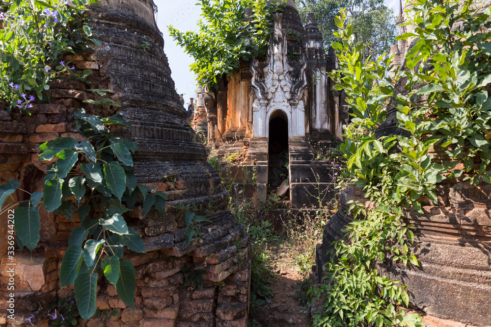 Naklejka premium Natural vegetation growing into pagodas and temples