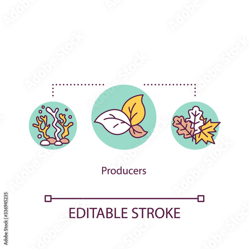 Producers concept icon. Biological food chain energy producing organisms. Plants and algae. Autotrophs idea thin line illustration. Vector isolated outline RGB color drawing. Editable stroke