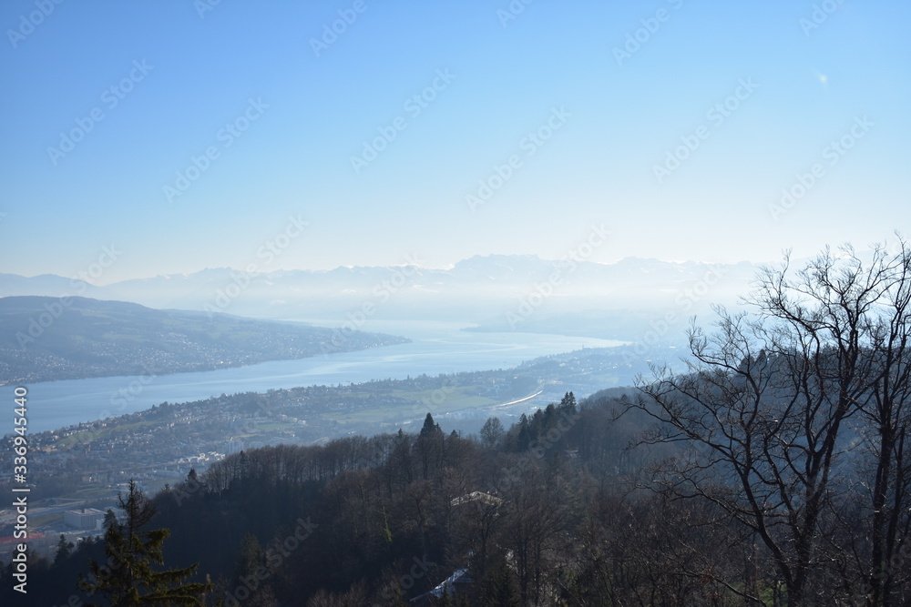 Landscape of mountains in the Alps with trees and Lake Zurich from Uetliberg Switzerland