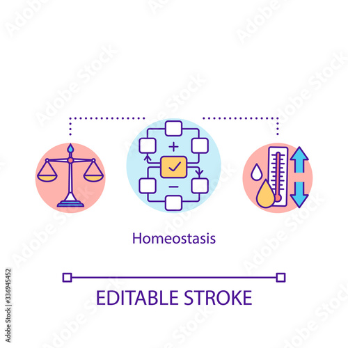 Homeostasis concept icon. Regulations in organism. Living systems maintaining. Biological process idea thin line illustration. Vector isolated outline RGB color drawing. Editable stroke photo