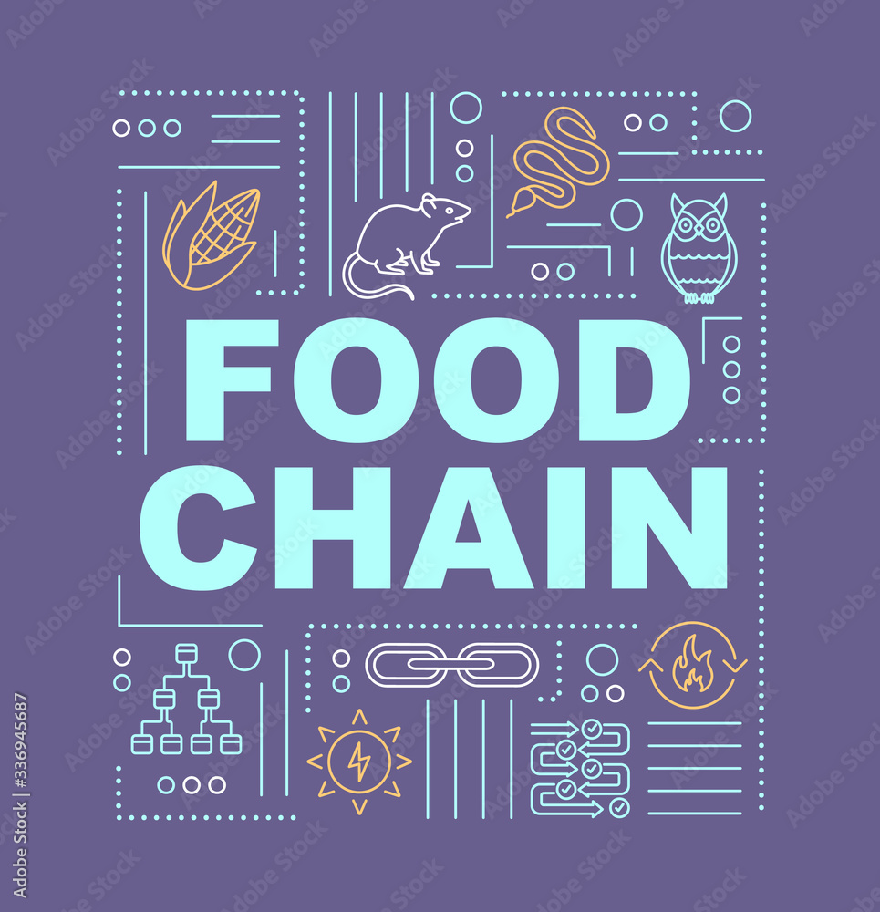 Fototapeta premium Food web word concepts banner. Metabolic process, producers and consumers. Infographics with linear icons on purple background. Isolated typography. Vector outline RGB color illustration