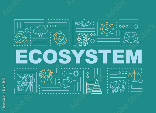 Ecosystem, biodiversity word concepts banner. Nature, living organisms community. Infographics with linear icons on green background. Isolated typography. Vector outline RGB color illustration