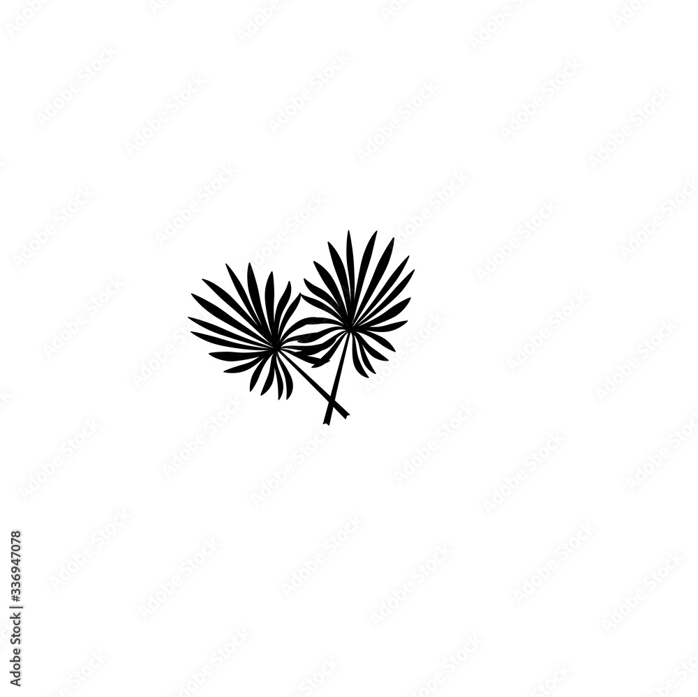 palm leaves icon palm leaves icon