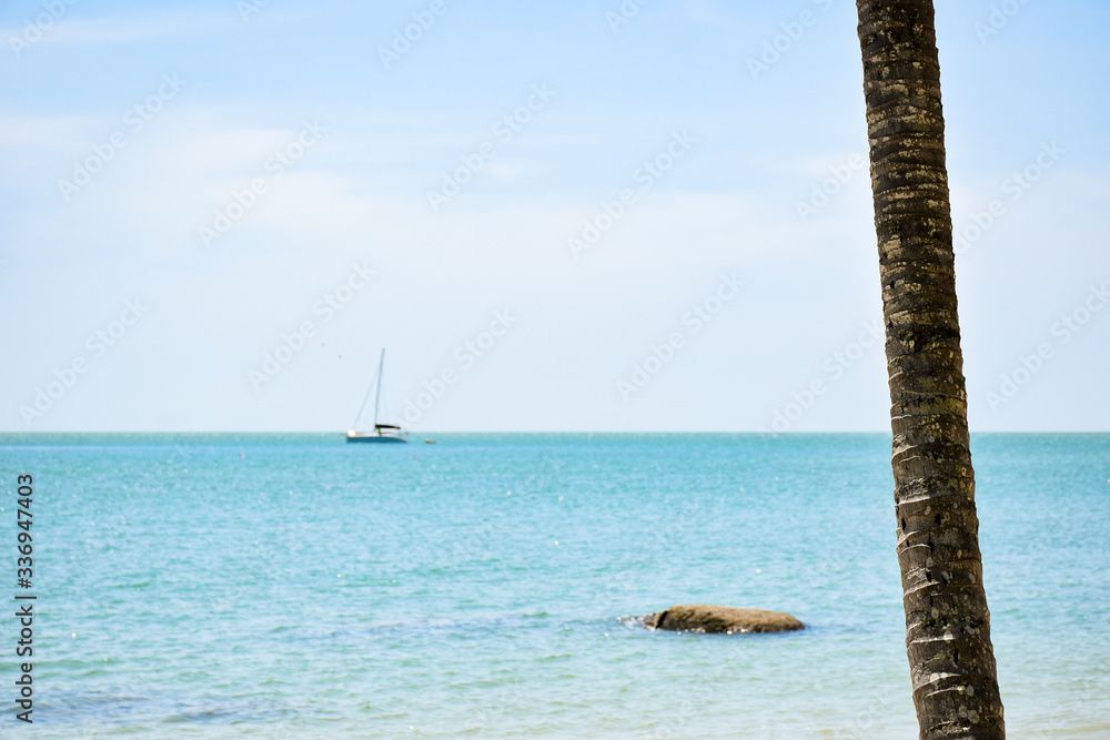 tropical beach with coconut palm trees and sailboat tropical beach with coconut palm trees and sailboat