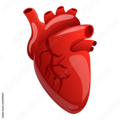 Body human heart icon. Cartoon of body human heart vector icon for web design isolated on white background