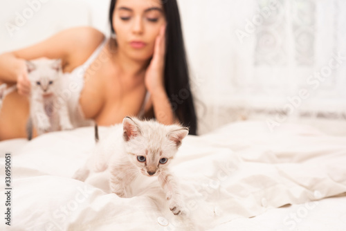 Playing with cat in bed. Playful pet. Cat and lady. Play with kitty. Gorgeous attractive girl relax with cute kittens. Woman perfect body and cat. Sexy model play adorable kitten selective focus
