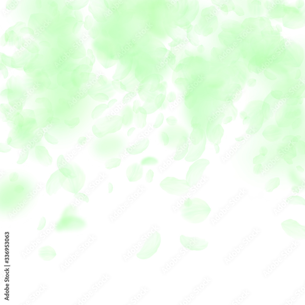 Green flower petals falling down. Bewitching roman Green flower petals falling down. Bewitching roman