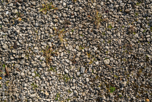 Texture of gravel colored grey blue with  green and yellow small weeds 