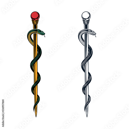 Rod of Asclepius symbol. Vector illustration in engraving technique of twisted snake around a staff. Symbol of medicine. Isolated on white background.