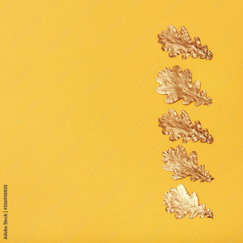 Metallic painted gold colored oak leaves on yellow paper. Autumn greeting card.