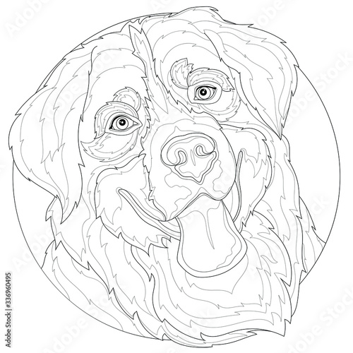 Beautiful dog shows tongue.Bernese Mountain Dog.Coloring book antistress for children and adults. Zen-tangle style.Black and white drawing