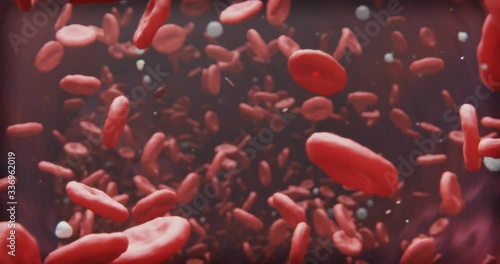 Macrophages, red and white blood bodies in an artery.
