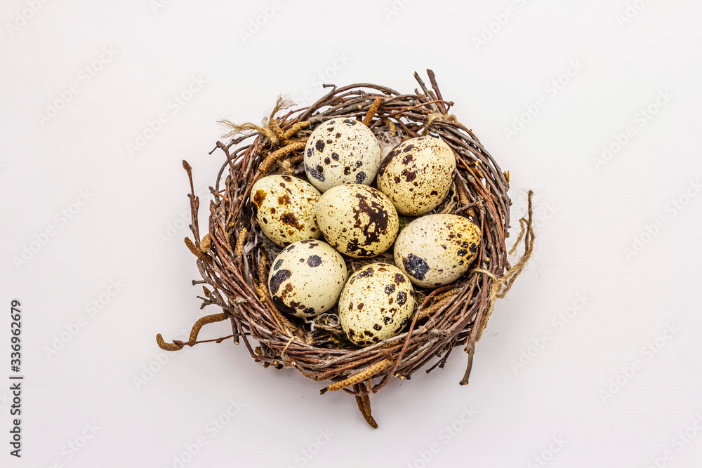 Easter bird nest with quail eggs isolated on white background. Zero waste, DIY concept Easter bird nest with quail eggs isolated on white background. Zero waste, DIY concept
