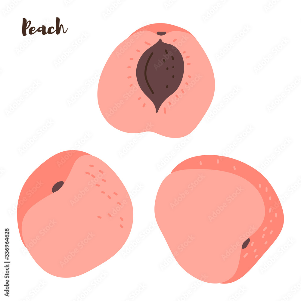 Peach. Set. Vector illustration. Isolated fruit on white background Peach. Set. Vector illustration. Isolated fruit on white background