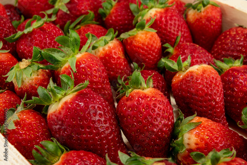 strawberry fruit close up shoot