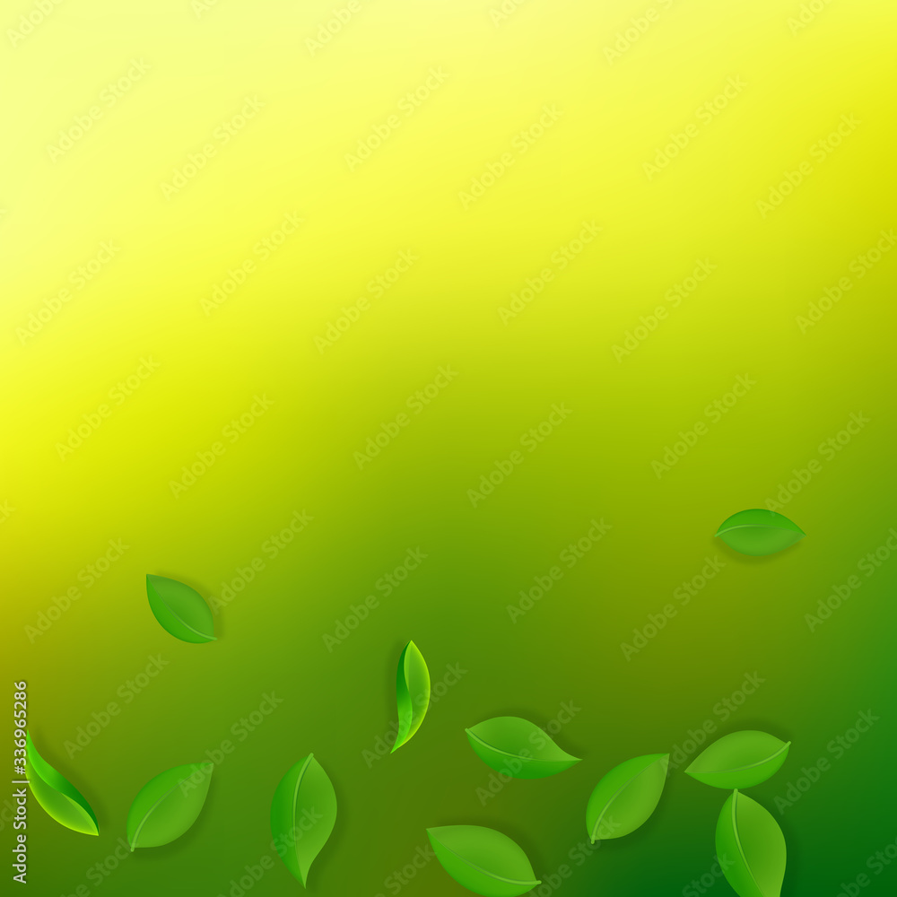 Falling green leaves. Fresh tea neat leaves flying Falling green leaves. Fresh tea neat leaves flying