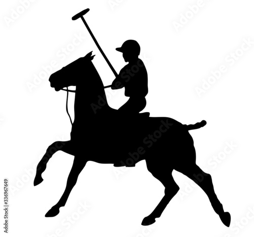 Polo player and polo pony