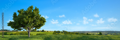 Natur Landschaft mit Baum und einem blauen Himmel