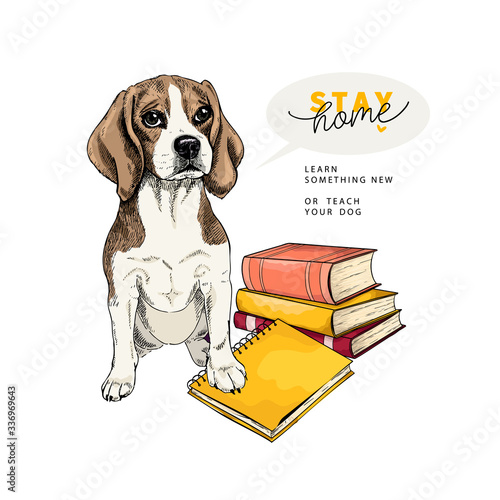 Hand drawn beaglel dog sits with a books and a notebook. Vector engraved quarantine poster. Stay smart, stay at home. Covid-19 pandemic flyer. Education, calmness, knowledge.