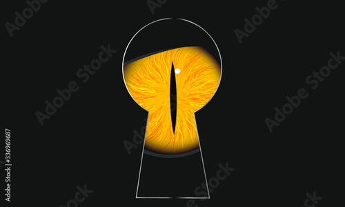 door lock key hole with mystic dangerous yellow human cat dragon wolf eye looking through
