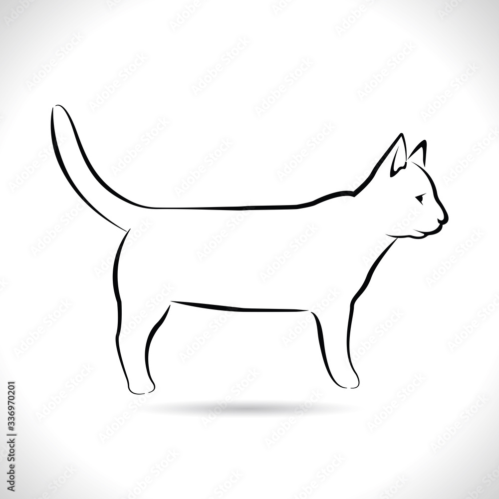 Vector of cat , walking, playing, different graphic images of cats, Isolated on theWhite background.