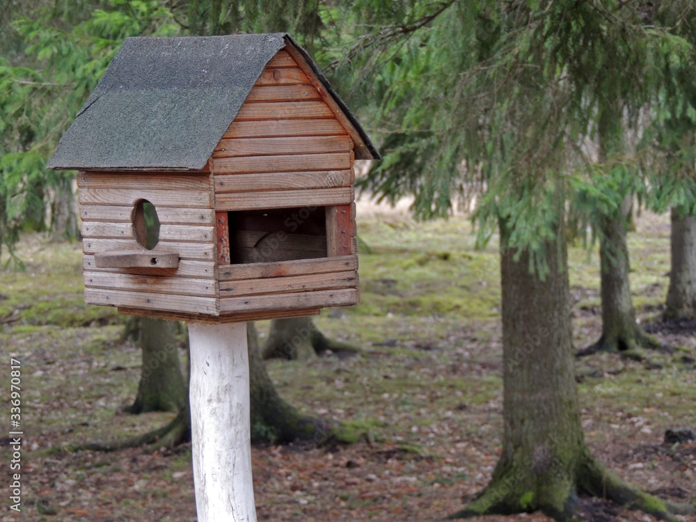 wooden feeder in the park