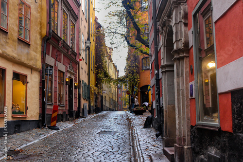 A narrow, empty street paved with cobblestones in European city, surrounded by pleasant colored buildings with unusual windows and a natural arch of tree branches and foliage. 