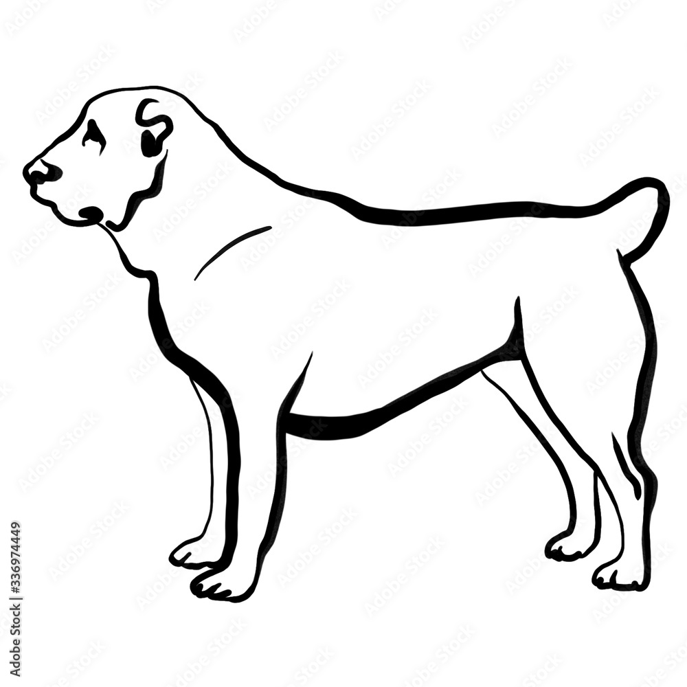 Dog illustration. Animal silhouette 