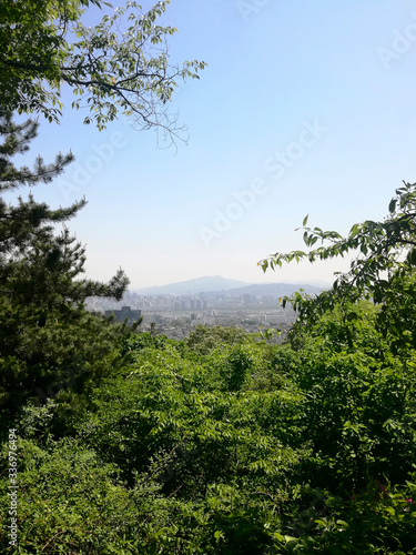 Fototapeta Naklejka Na Ścianę i Meble -  Seoul city view from mountain park. South Korea, Asia. Copy space. Vertical photo.