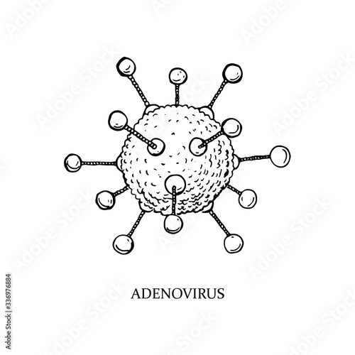 Hand drawn adenovirus illustration with name in sketch style. Microscope virus close up. Vector illustration