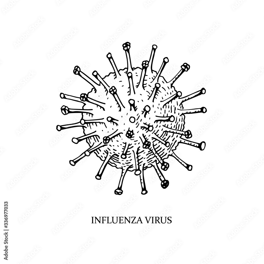 Hand drawn influenza virus illustration with name in sketch style. Microscope virus close up. Vector illustration Hand drawn influenza virus illustration with name in sketch style. Microscope virus close up. Vector illustration