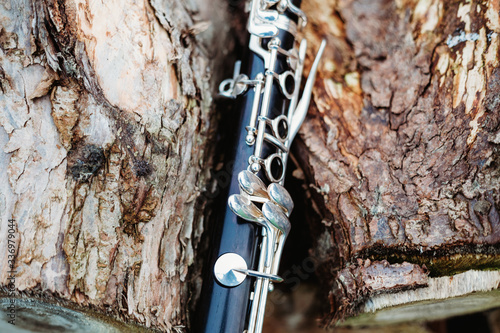 Clarinet and wood