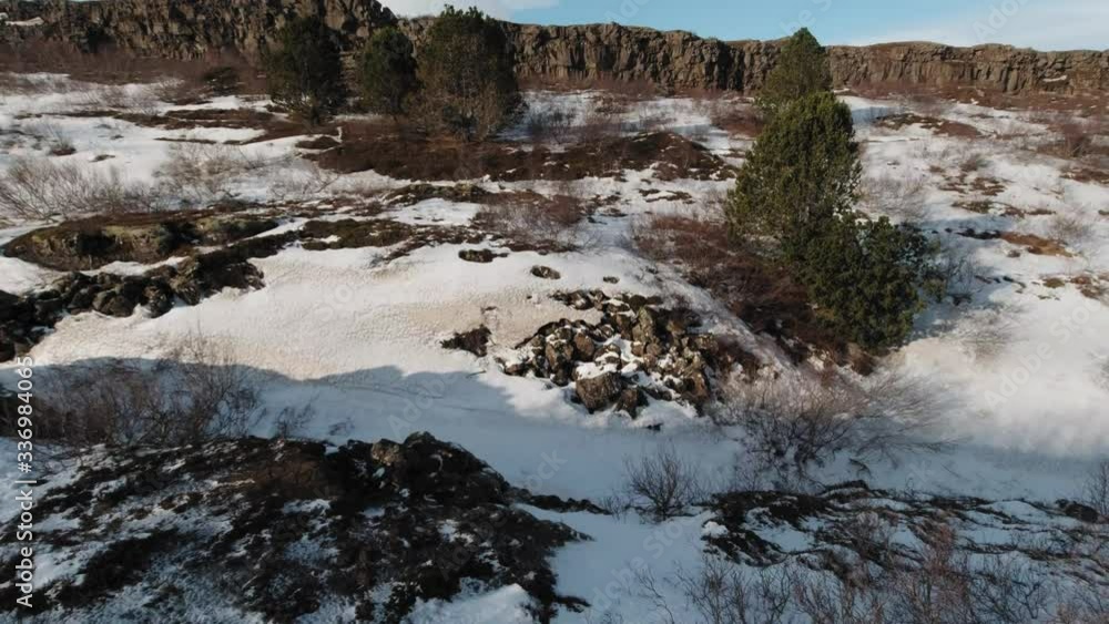 Spectacular View Of Iceland Highland Cliffs Formed From Hardened Lava With Few Growing Trees In Iceland - Drone (fpv)
