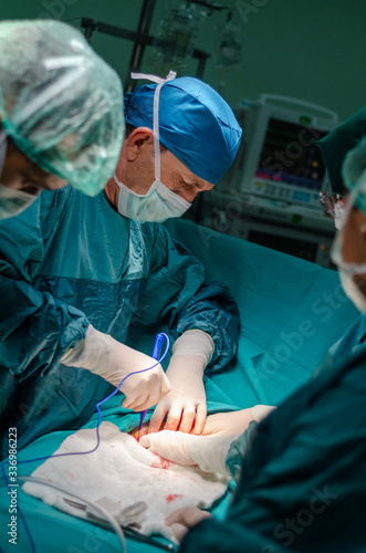 Surgeon doctor is operating on the patient in operating room.